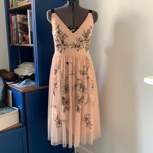 NWT Express Blush Dress size 6
